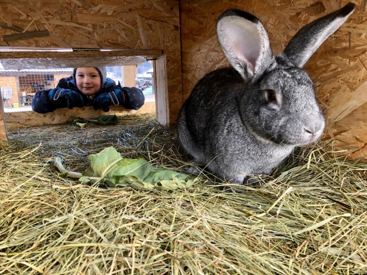 Lutzmannhof Villa Irdning Bagian luar foto