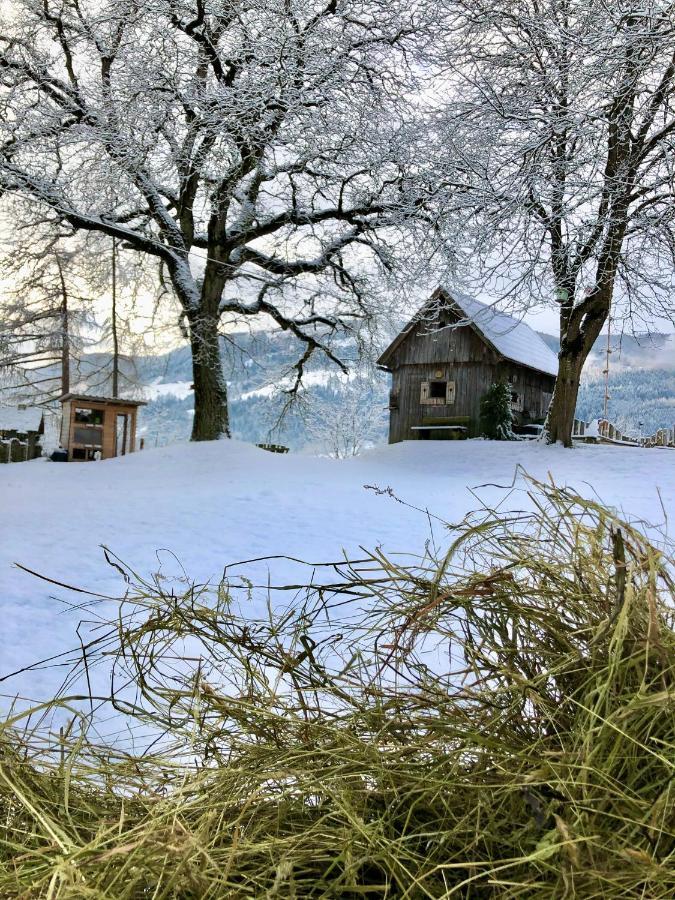 Lutzmannhof Villa Irdning Bagian luar foto