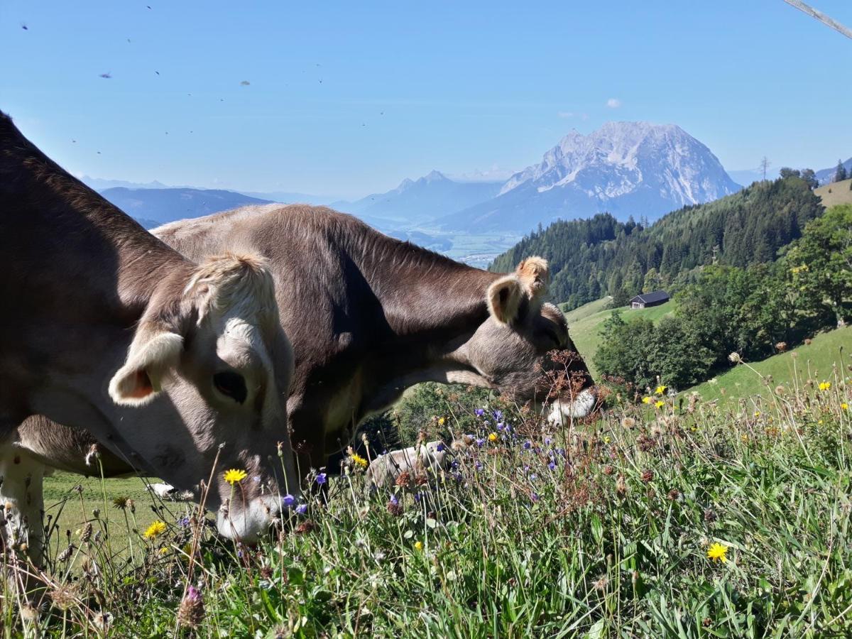 Lutzmannhof Villa Irdning Bagian luar foto