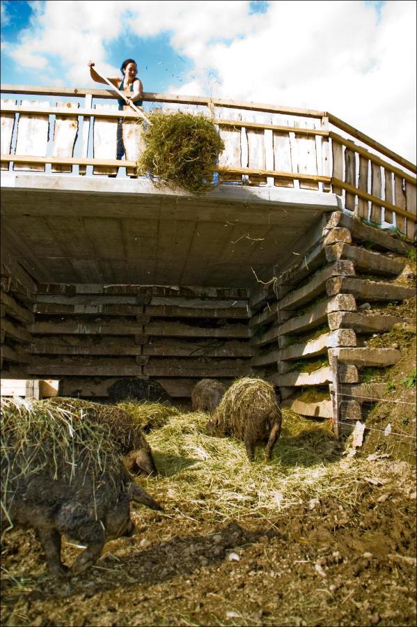 Lutzmannhof Villa Irdning Bagian luar foto
