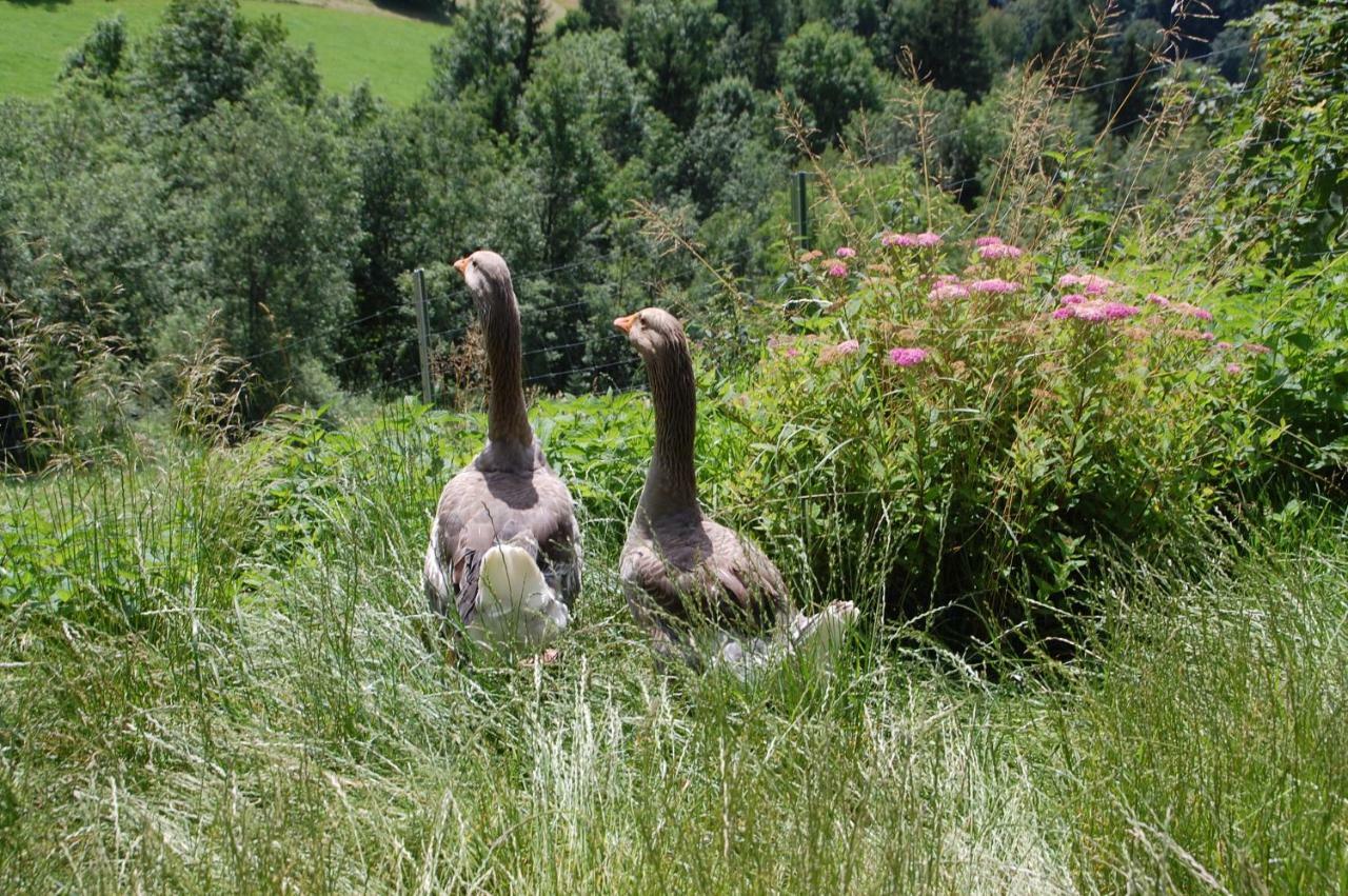 Lutzmannhof Villa Irdning Bagian luar foto